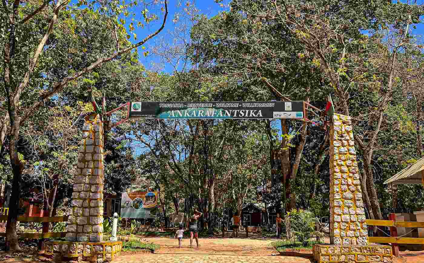 Parc national d'Ankarafantsika à Madagascar