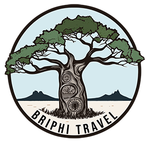 Logo-Briphi-Travel-Bleu