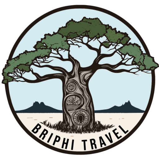 Logo-briphi
