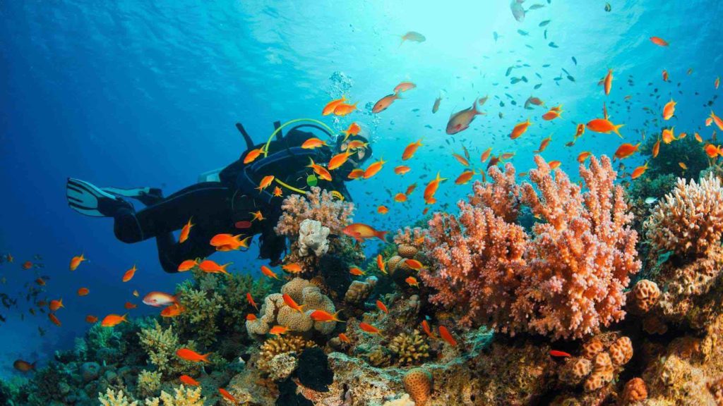 La plongée à Madagascar