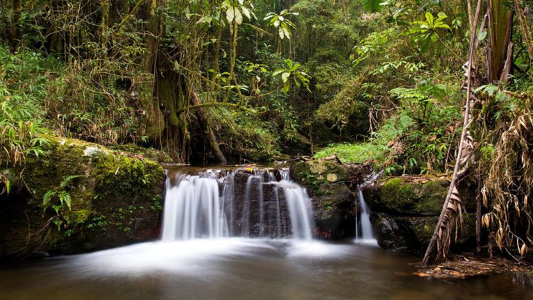 foret madagascar cascades